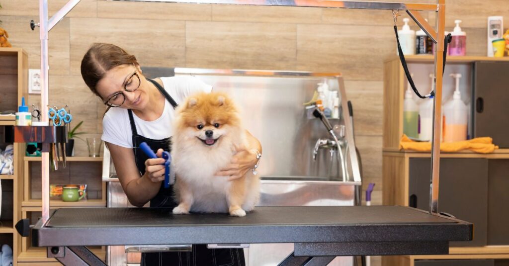 How SproutCo Empowers Young Entrepreneurs and Small Business Owners