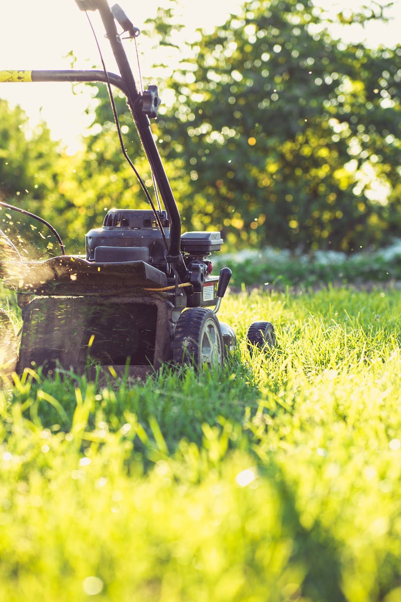 A person operates a lawnmower on a sunny day, trimming grass in a garden setting.